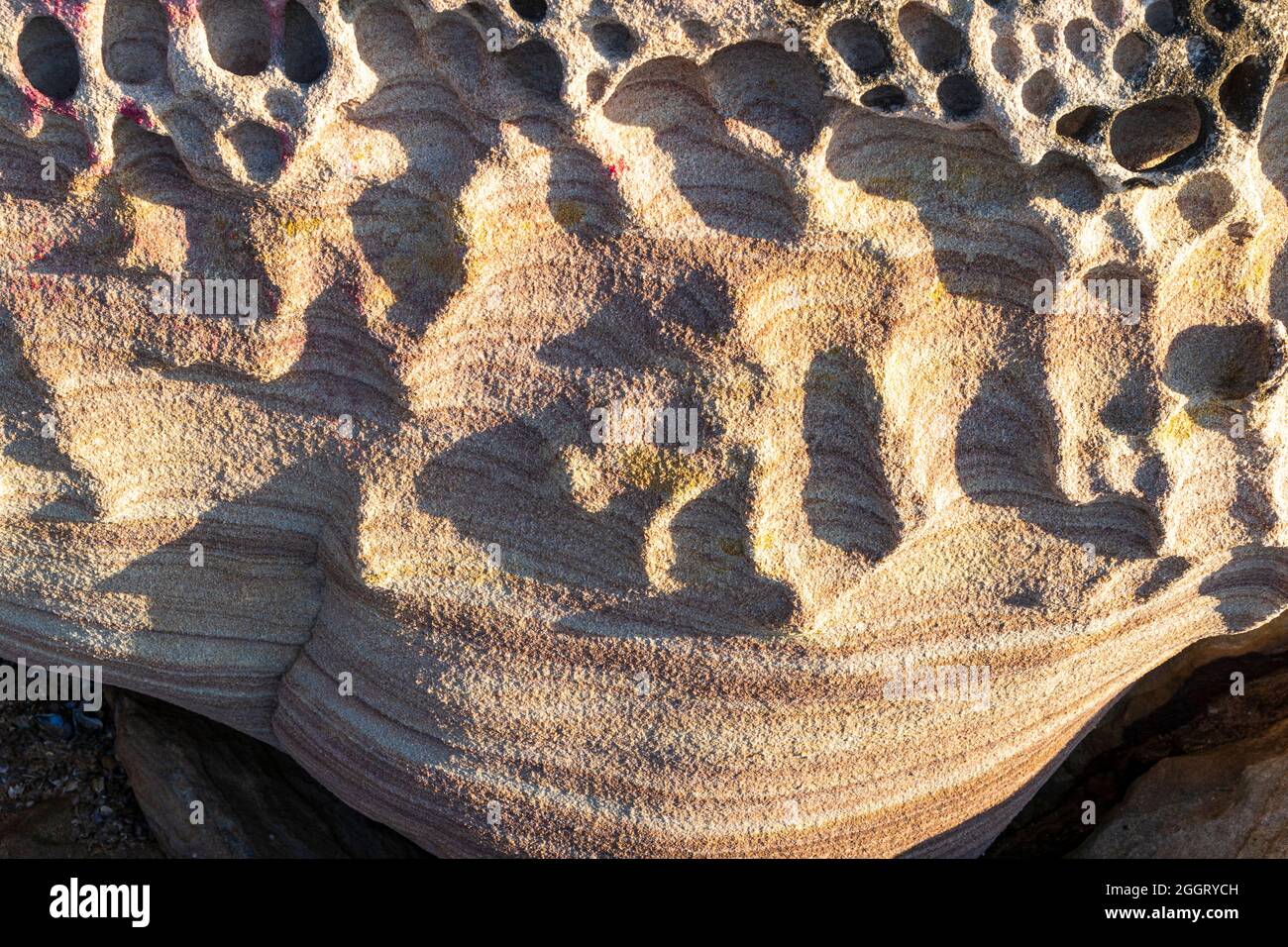 Masso di arenaria testurizzata sulla spiaggia adatto per lo sfondo Foto Stock