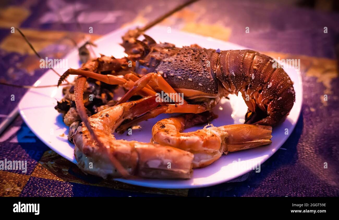 Piatto di crostacei di pesce crostacei con aragosta fresca, cozze, gamberetti come sfondo per una cena gourmet oceano Foto Stock
