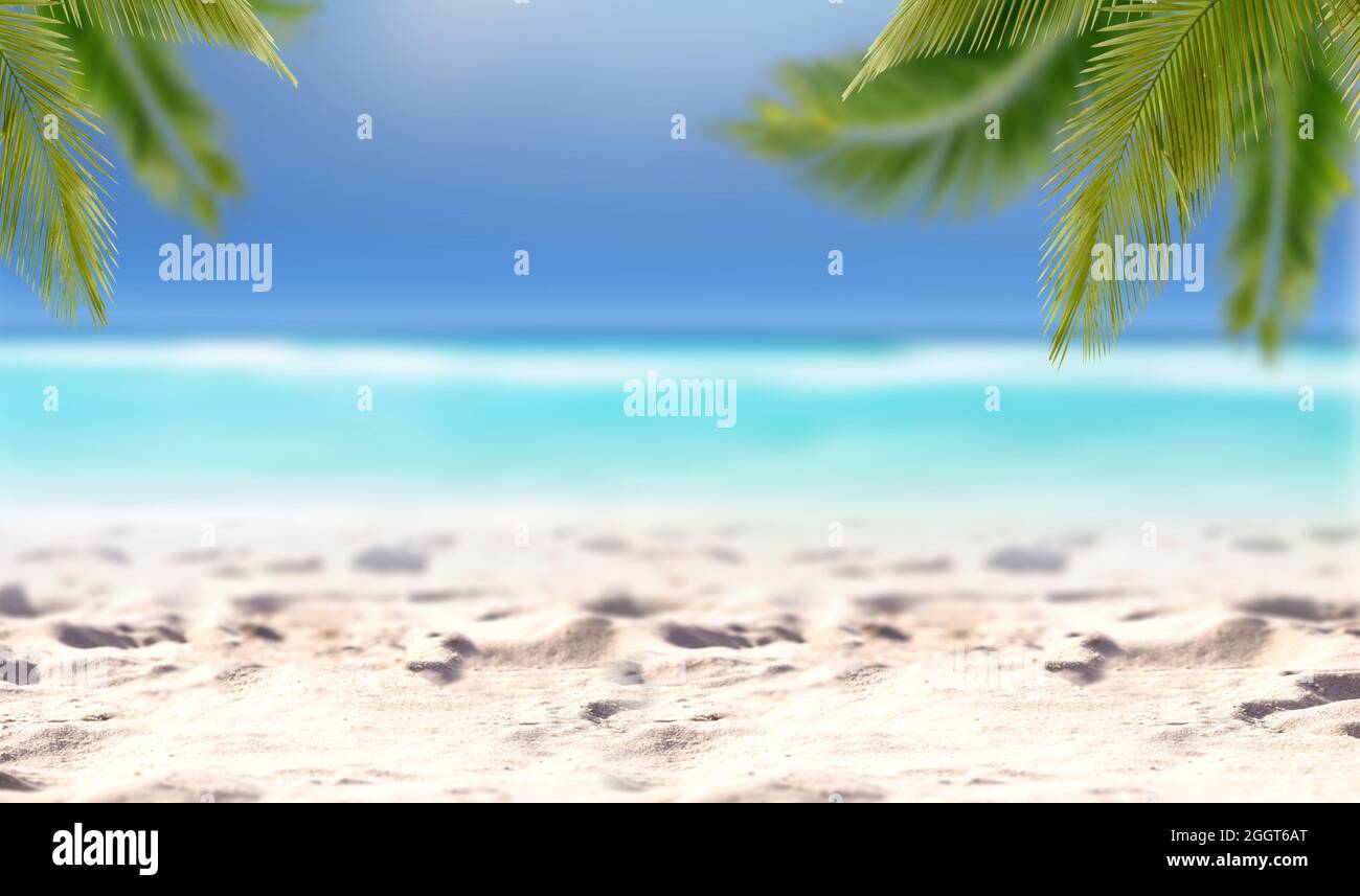 Sabbia con palma sfocata e sfondo bokeh spiaggia tropicale, Foto Stock