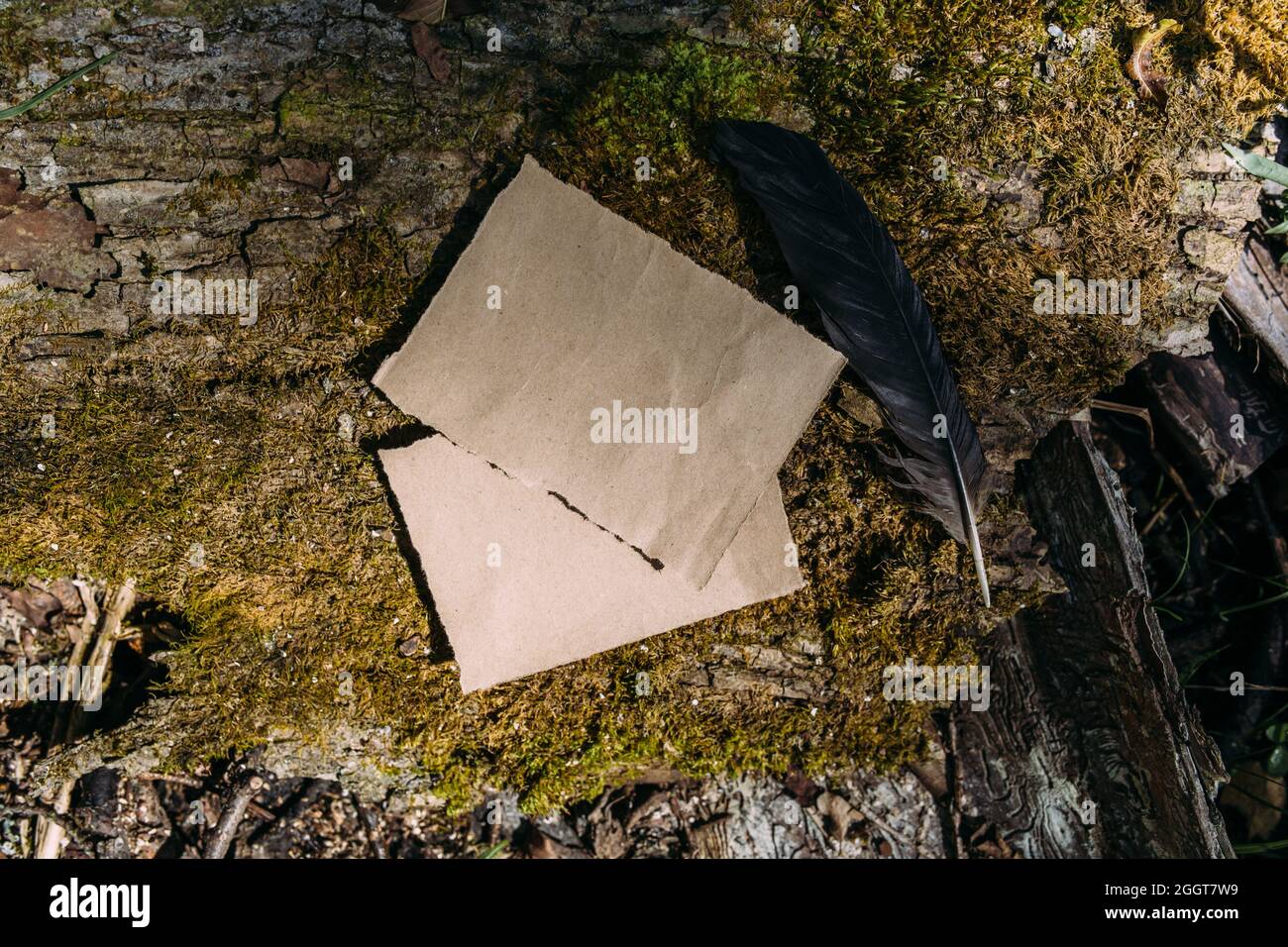 Modello di mockup di carta artigianale sullo sfondo della natura magica foresta Foto Stock