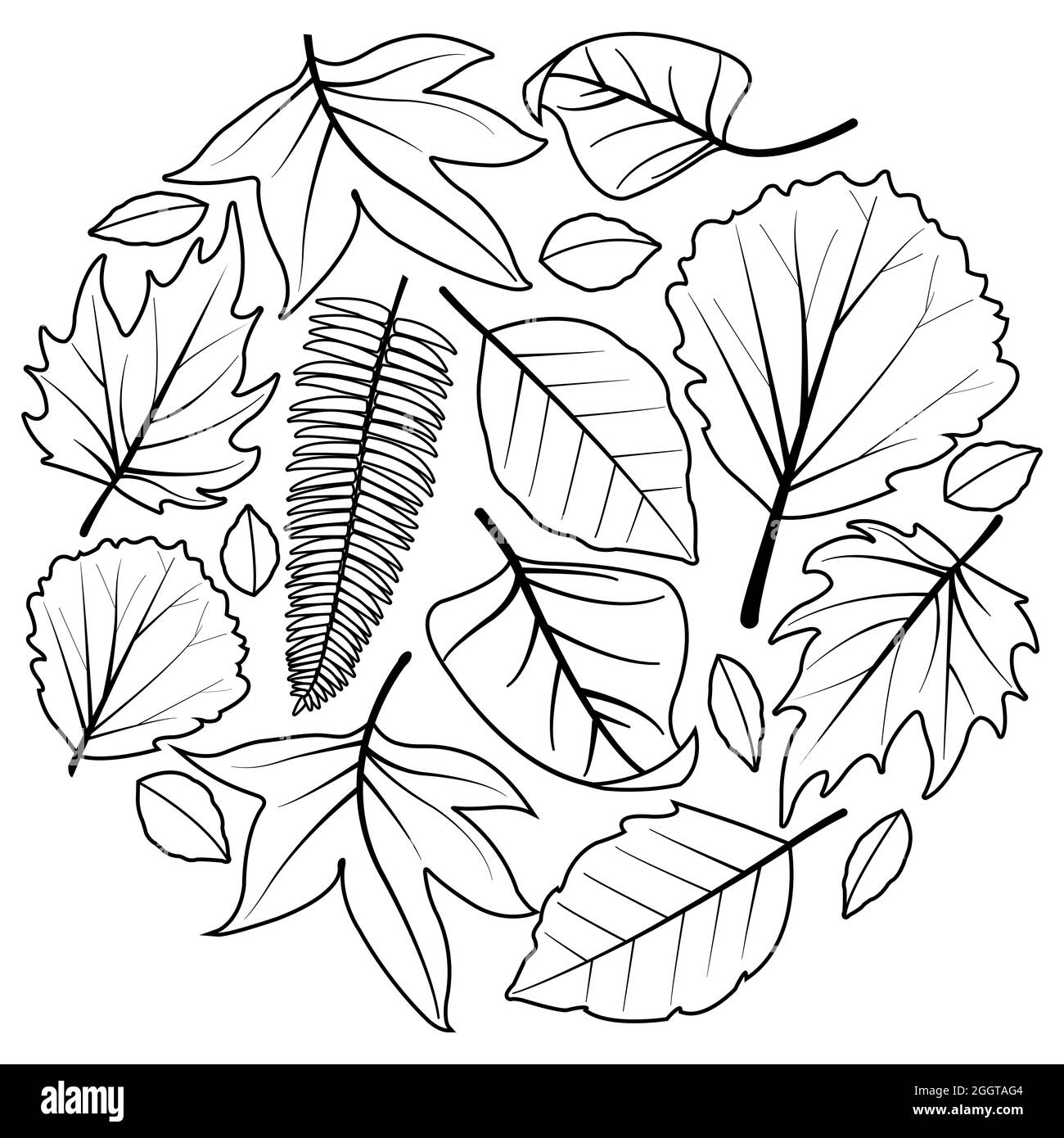 Foglie d'autunno. Pagina da colorare in bianco e nero. Foto Stock