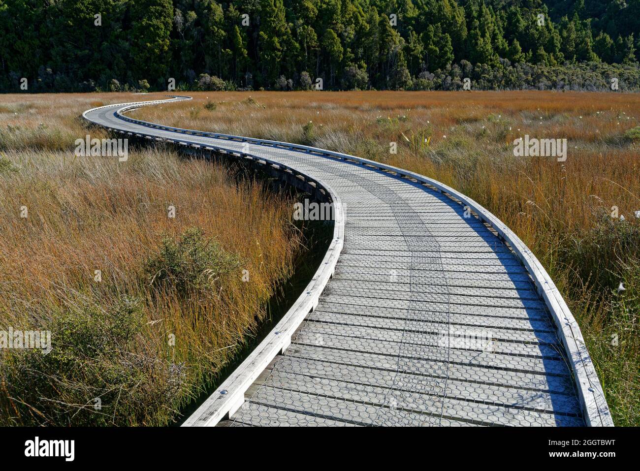 Un lungo e tortuoso sentiero, Okarito wetland, costa occidentale, Nuova Zelanda. Foto Stock