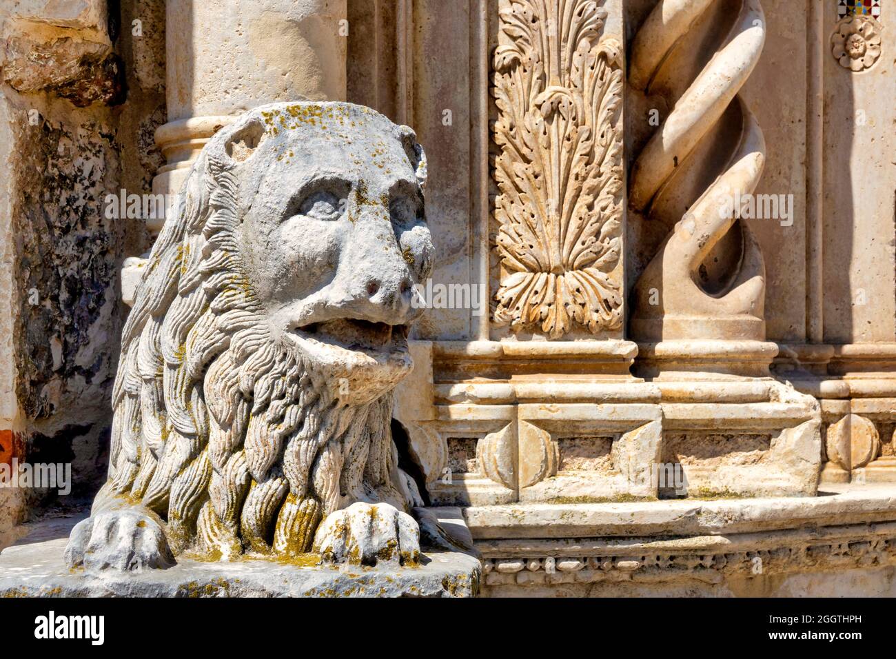 Scultura leone sulla facciata della Cattedrale di Teramo, Italia Foto Stock