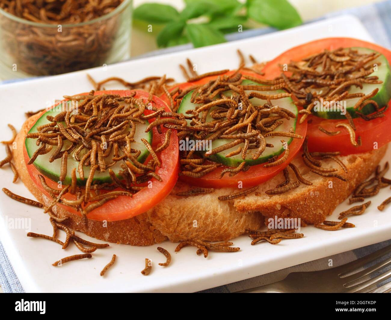Pane con insetti commestibili, pomodoro e cetriolo. Tenebrio molitor. Foto Stock