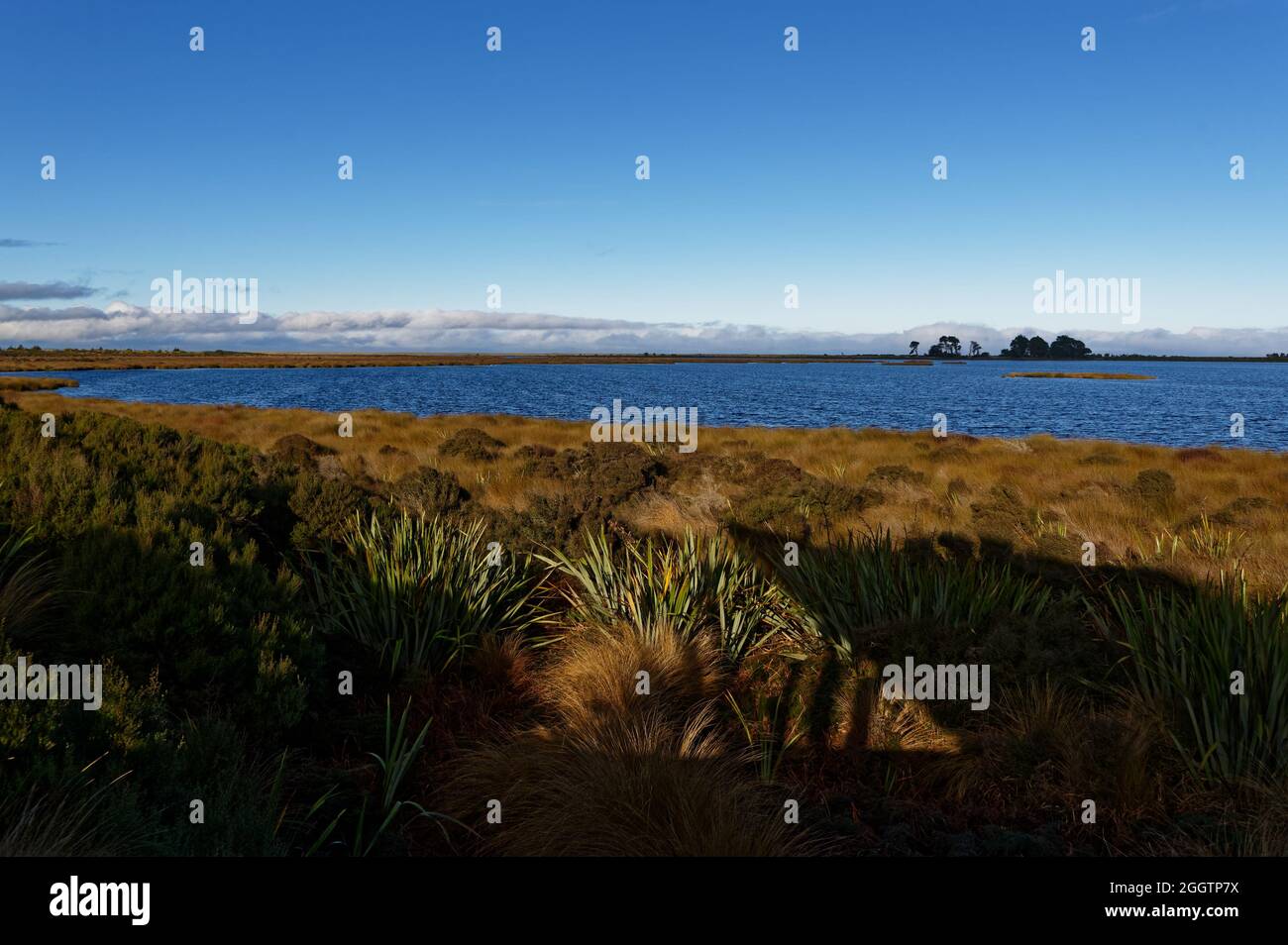 Si affaccia sulla Waituna Lagoon, Awarua Wetland, Southland, Nuova Zelanda Foto Stock