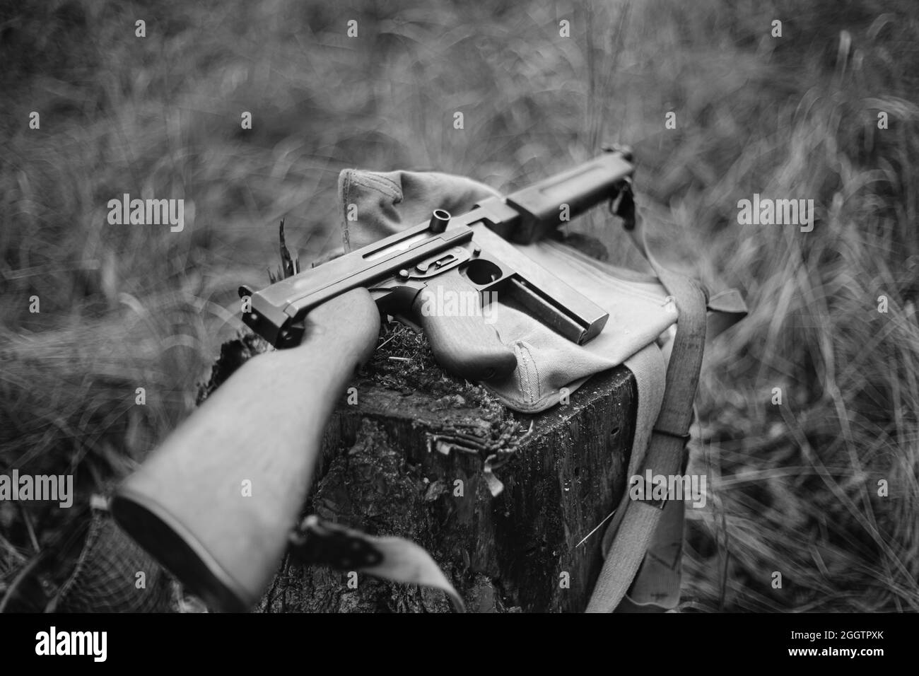 Arma americana della seconda guerra mondiale su Forest Stump. Foto in bianco e nero Foto Stock