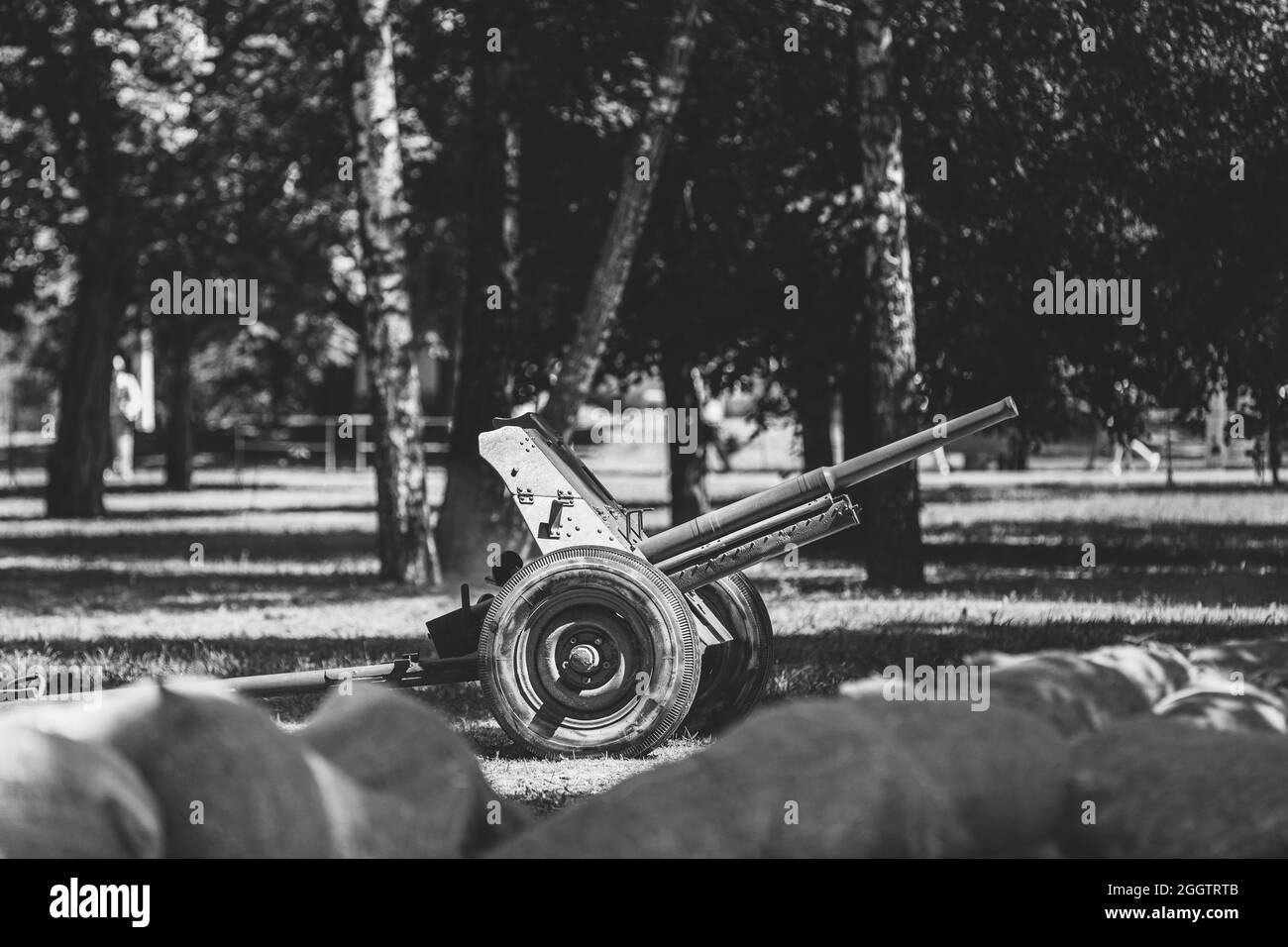 Pistola anticarro sovietica russa da 45 mm. Fu la principale arma anticarro delle unità di artiglieria dell'Armata Rossa nella seconda guerra mondiale Stagione estiva. Bianco e nero Foto Stock