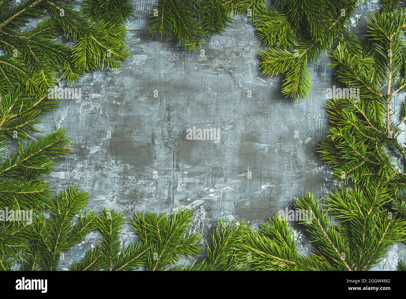 Sfondo natalizio con rami di pino sullo sfondo rustico. Messa a fuoco selettiva. Profondità di campo poco profonda. Foto Stock