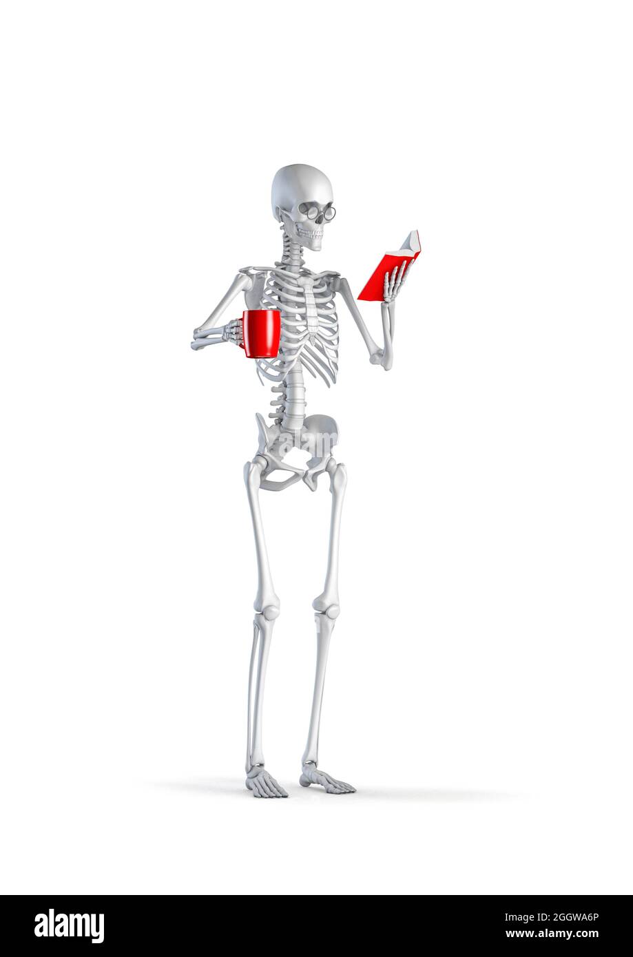 Scheletro del lettore di libri - illustrazione 3D di figura di scheletro umano femminile che indossa occhiali lettura libro e tenendo la tazza di caffè rosso isolato su bianco Foto Stock