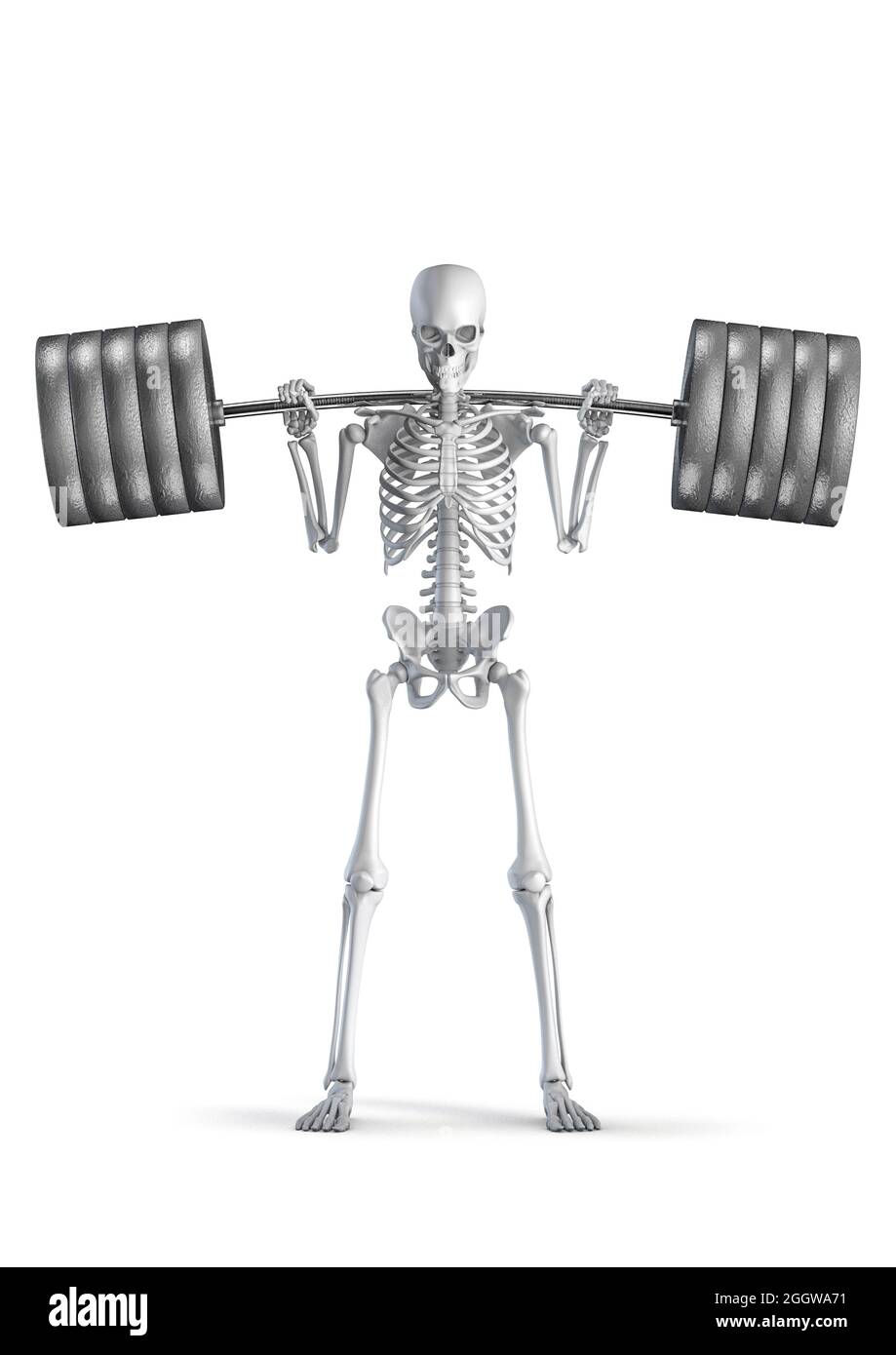 Fitness scheletro squat - illustrazione 3D di uomo scheletro figura squatting pesante barbell isolato su sfondo bianco studio Foto Stock
