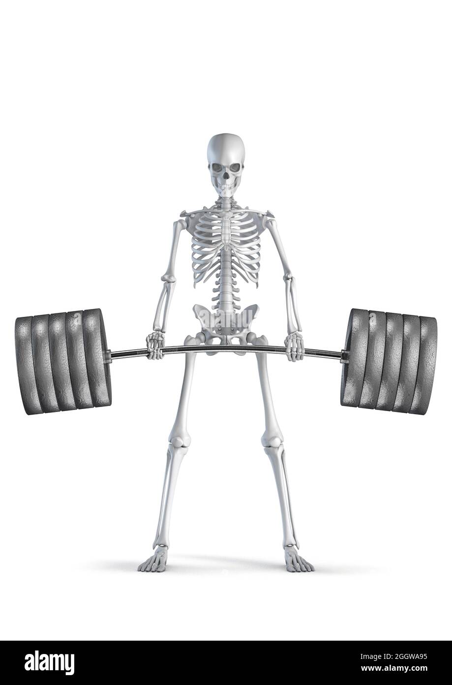 Fitness skeleton deadlift - illustrazione 3D di uomo scheletro figura sollevamento pesante barbell isolato su sfondo bianco studio Foto Stock