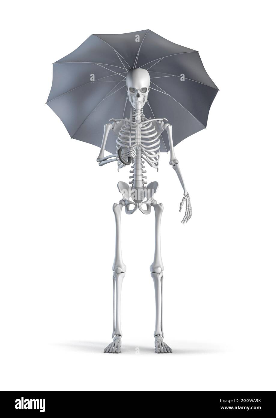 Scheletro con ombrello - illustrazione 3D di figura scheletro umano maschile che tiene ombrello isolato su sfondo bianco studio Foto Stock