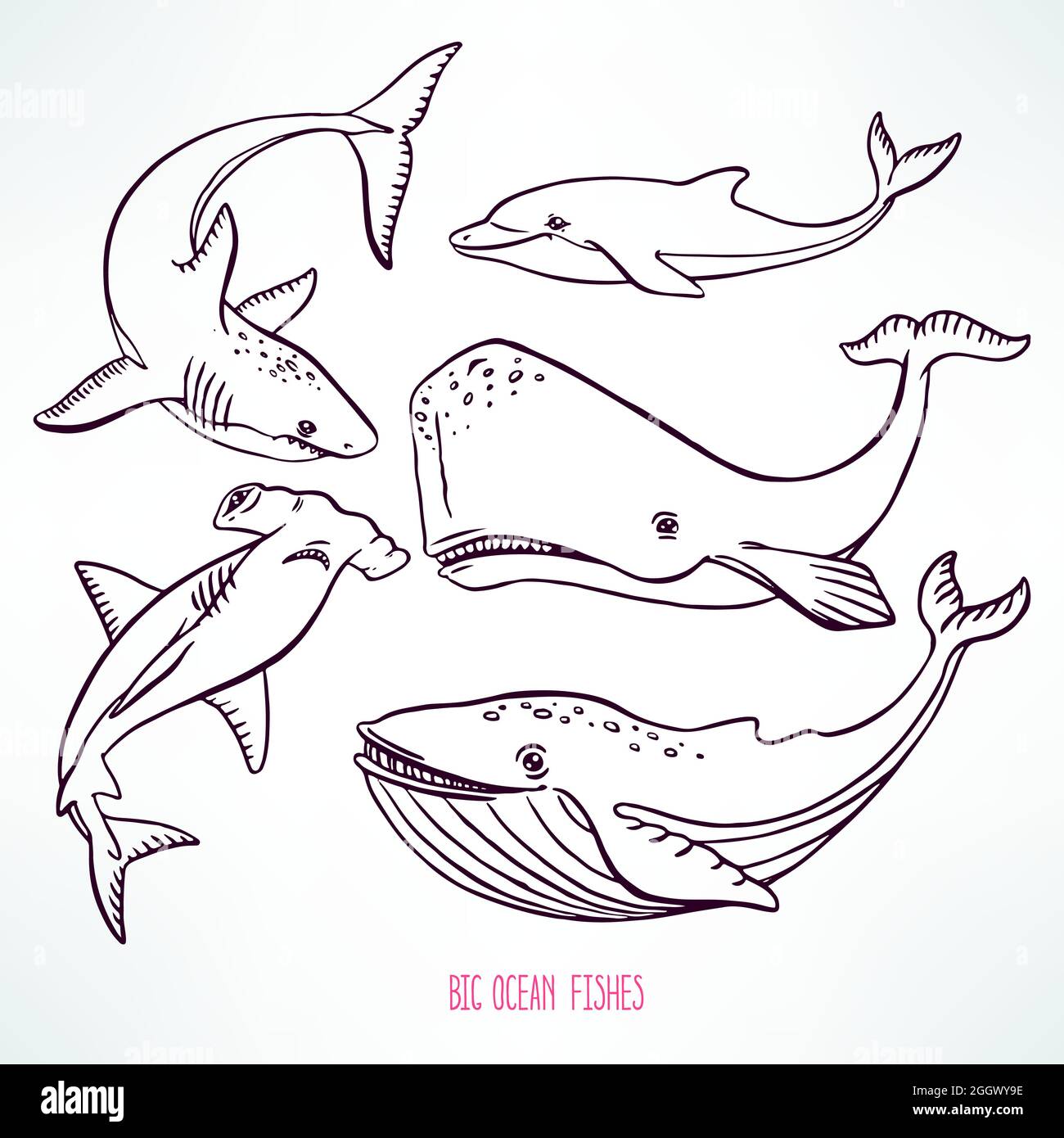 Set di grandi creature oceaniche. Illustrazione disegnata a mano Illustrazione Vettoriale