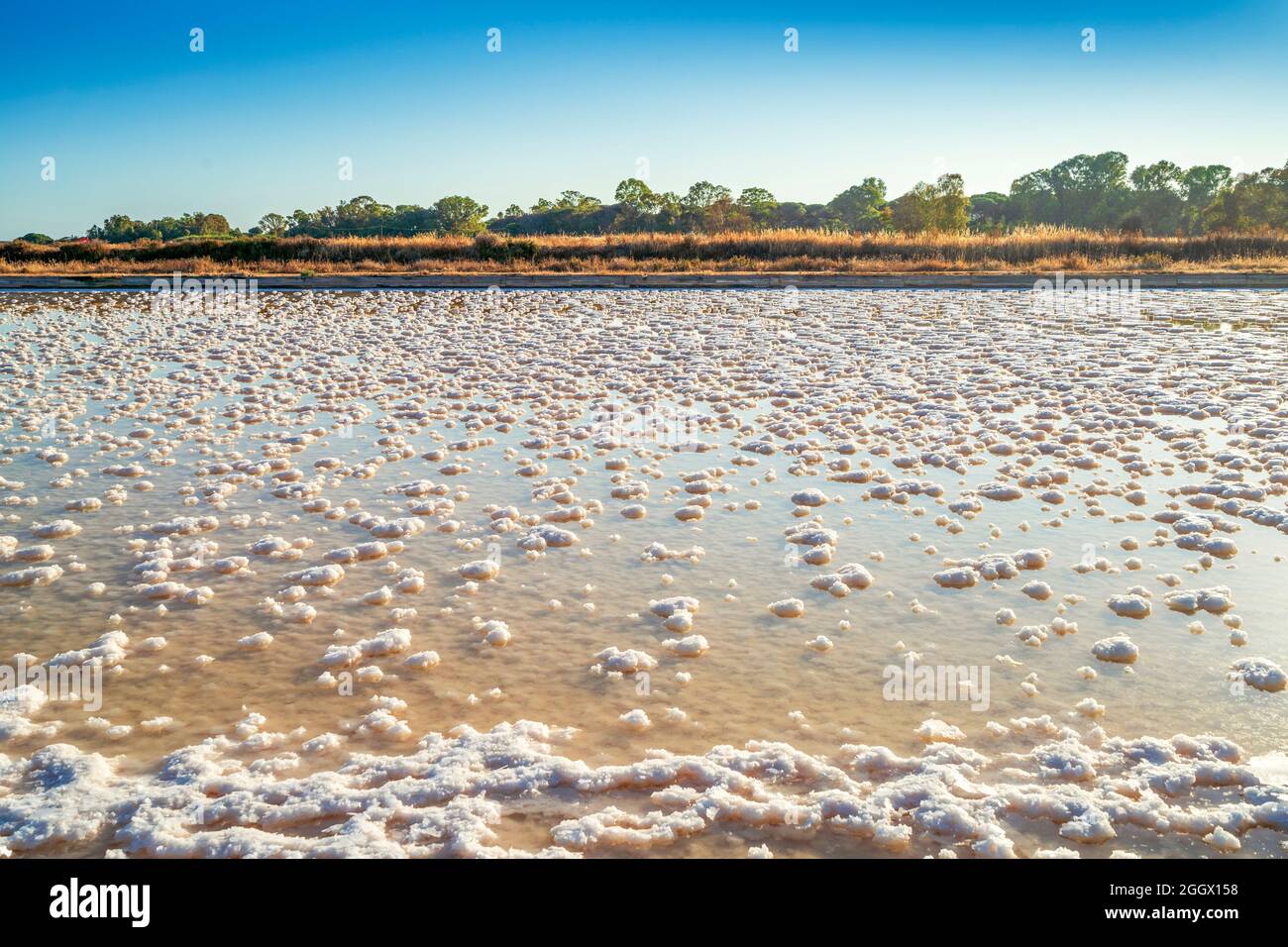 Uno stagno pieno di sale dopo evaporazione dell'acqua dell'oceano a salines a Faro, Algarve, Portogallo Foto Stock