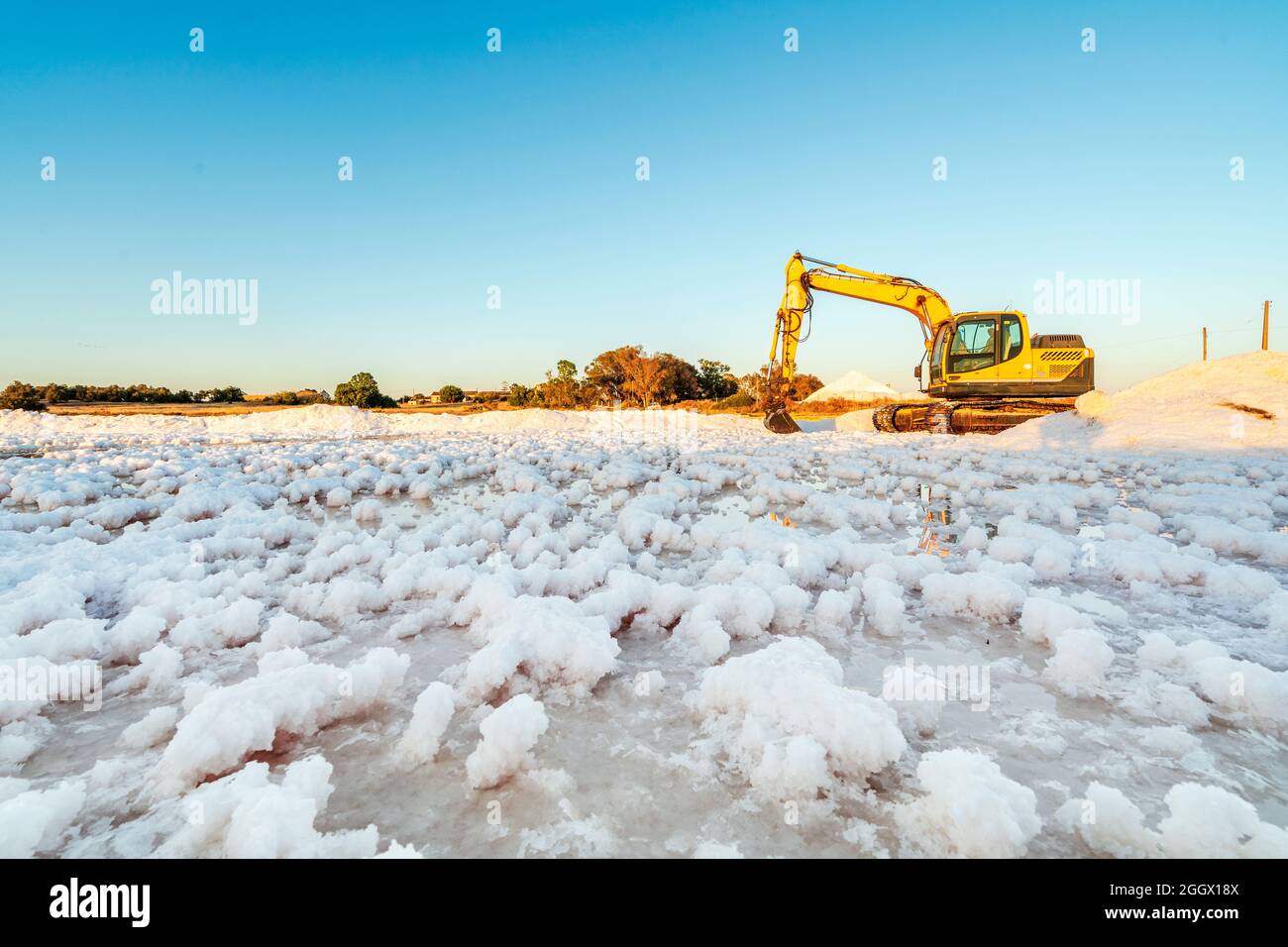 Raccolta del sale marino con digger giallo a salines a Faro, Algarve, Portogallo Foto Stock