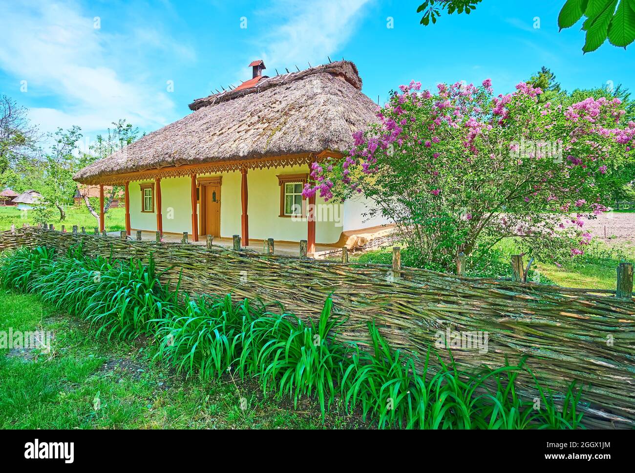 PEREIASLAV, UCRAINA - 22 MAGGIO 2021: Tyn recinzione vimini di fronte al cespuglio lilla in fiore e tradizionale hata casa di shynok (bar ucraino, taverna Foto Stock