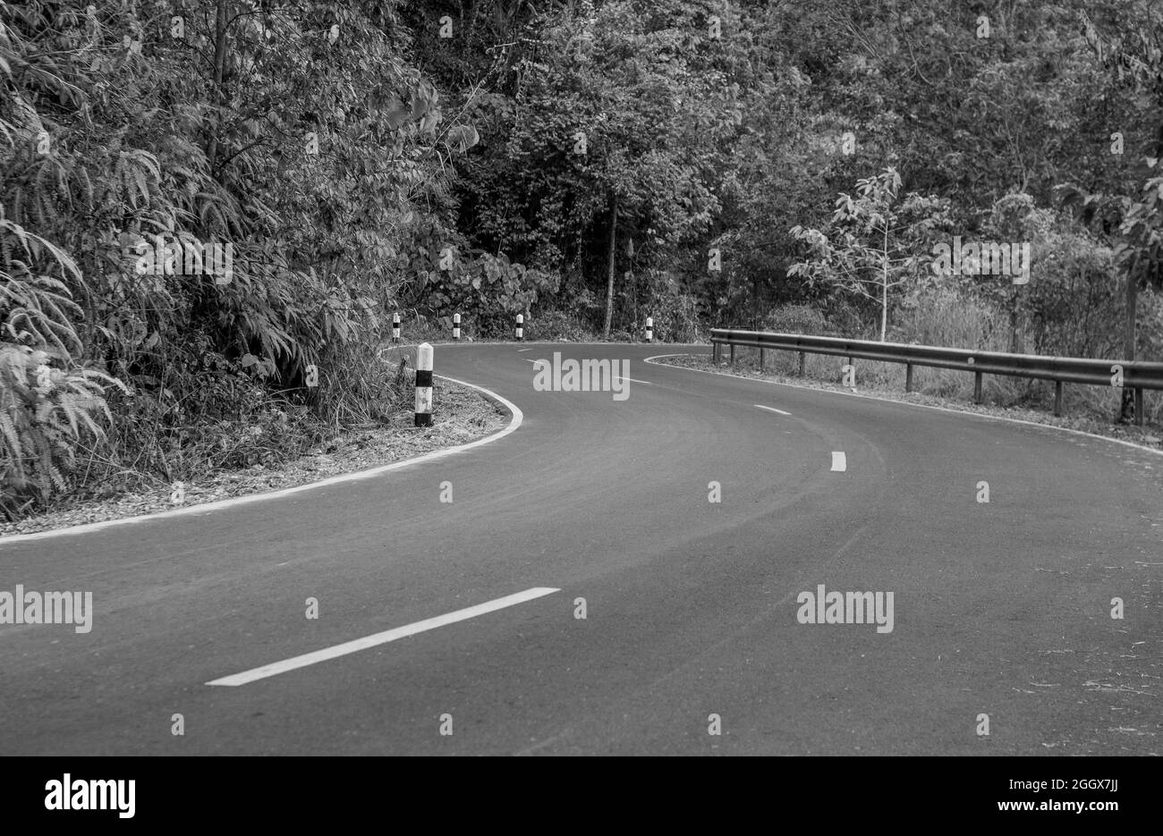 bianco e nero la strada asfaltata di campagna attraverso la foresta andare in qualche luogo in montagna. Foto Stock