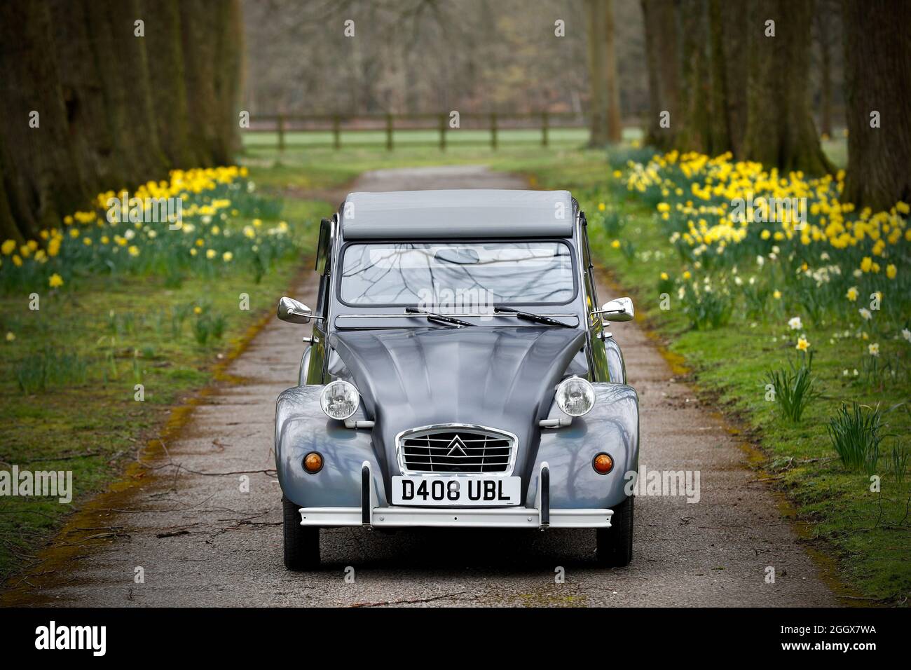 Una Citroen 2CV d'epoca è visto in Hampshire Foto Stock