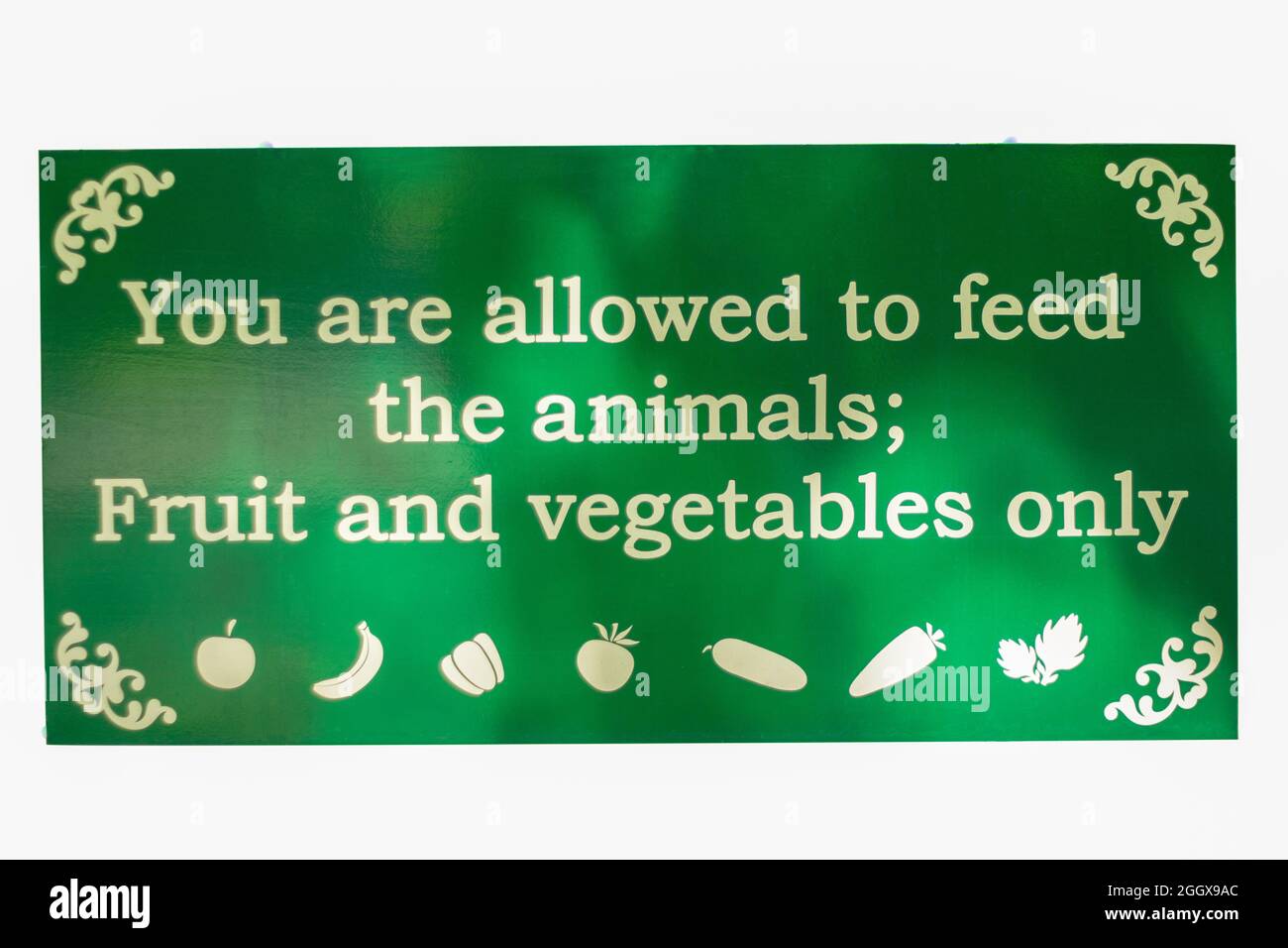 cartello verde è consentito nutrire solo animali, frutta e verdura Foto Stock