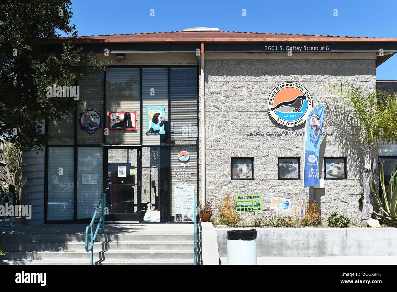 SAN PEDRO, CALIFORNIA - 27 AGO 2021: Centro di cura dei mammiferi marini su Gaffey Street, un ospedale senza scopo di lucro per le foche e i leoni marini che traggono su Los Ange Foto Stock