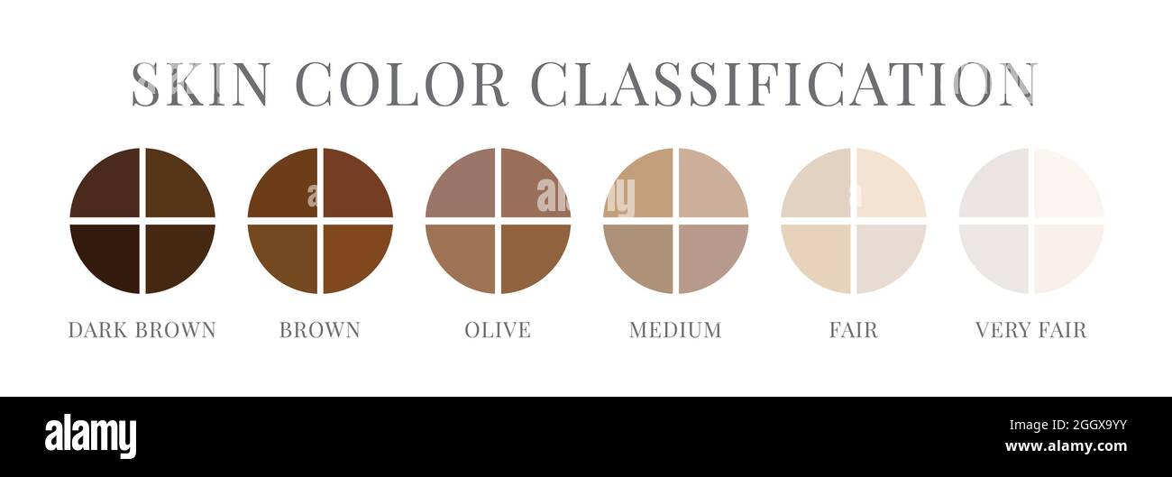 Classificazione del colore del tono della pelle isolata Illustrazione Vettoriale