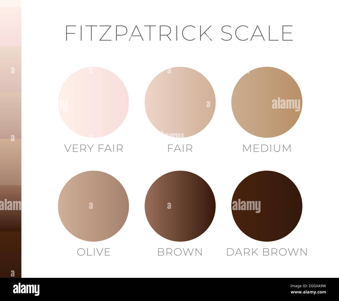 Colore della pelle di Fitzpatric Scala da chiaro a scuro Immagine e  Vettoriale - Alamy