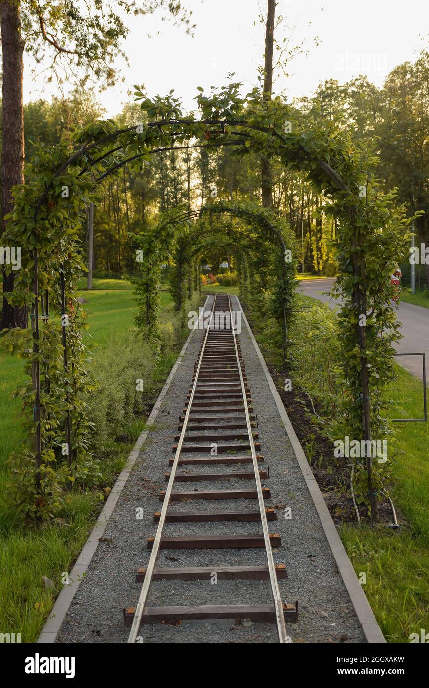 Ferrovia per bambini in un parco estivo in prospettiva con un arco fatto di piante verdi che si arrampicano Foto Stock