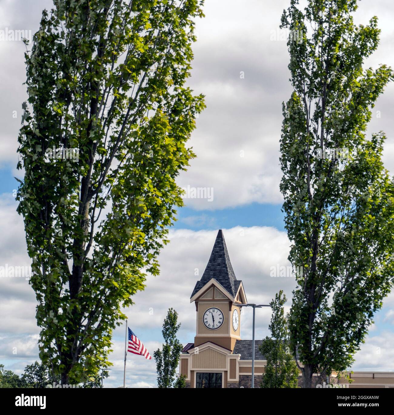Una torre dell'orologio tra due alberi Foto Stock