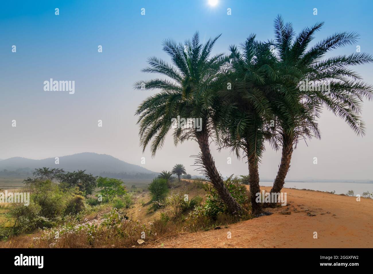 Una strada di villaggio in India rurale , villaggio di Baranti - Bengala Occidentale, India Foto Stock