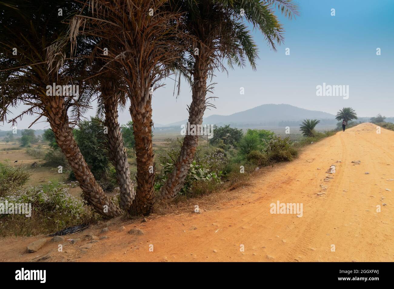 Una strada di villaggio in India rurale , villaggio di Baranti - Bengala Occidentale, India Foto Stock