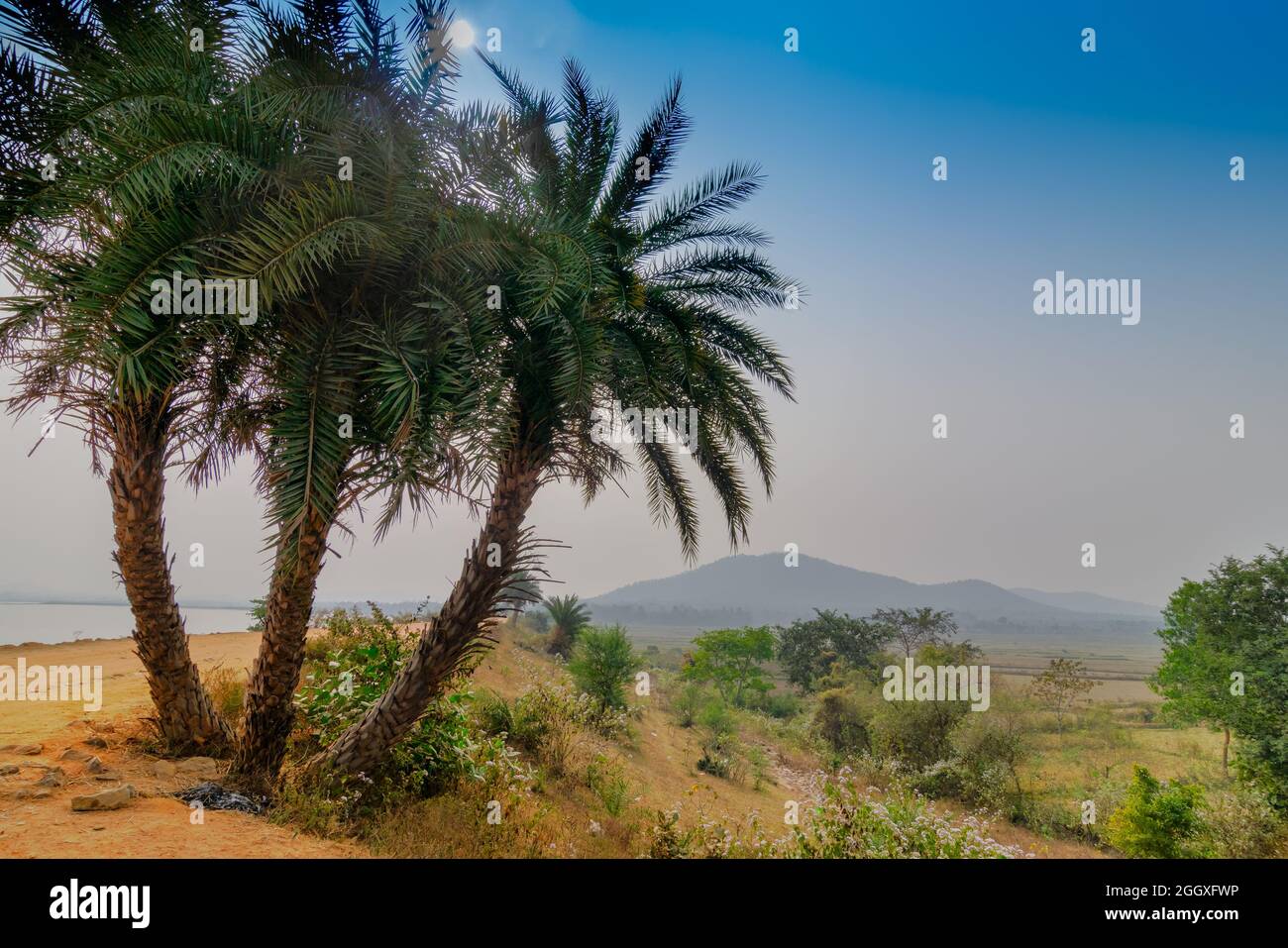 Una strada di villaggio in India rurale , villaggio di Baranti - Bengala Occidentale, India Foto Stock