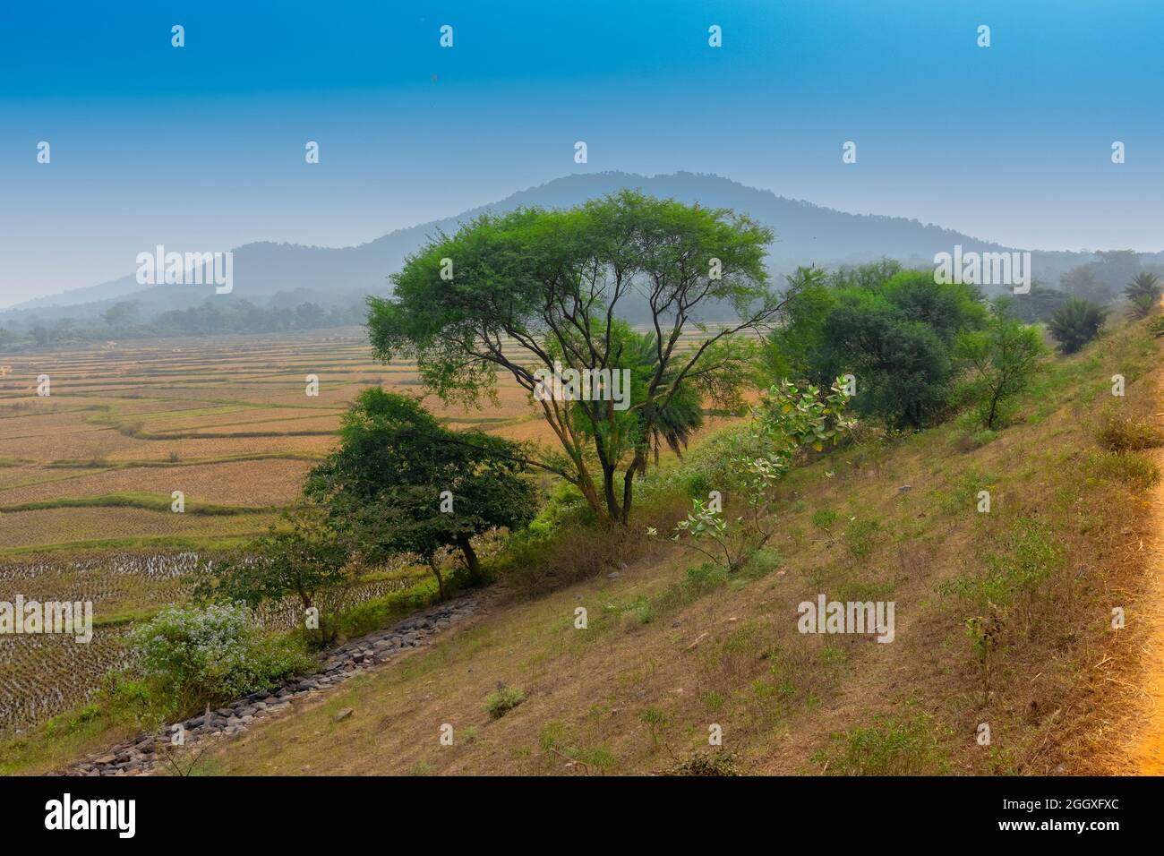 Vista di Baranti, un piccolo villaggio tribale nel distretto di Purulia , con un serbatoio d'acqua sotto Ramchandrapur Medium Irrigation Project, popolarmente noto come Foto Stock