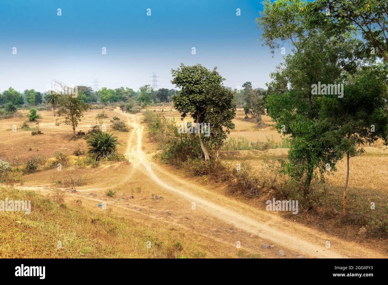 Una strada di villaggio in India rurale , villaggio di Baranti - Bengala Occidentale, India Foto Stock