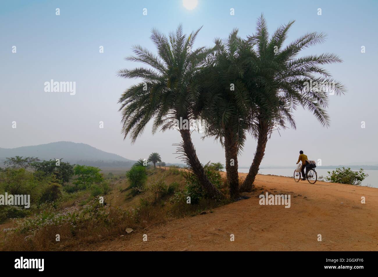Ciclista passando da una strada villaggio in India Rurale , Baranti villaggio - Bengala Occidentale, India Foto Stock