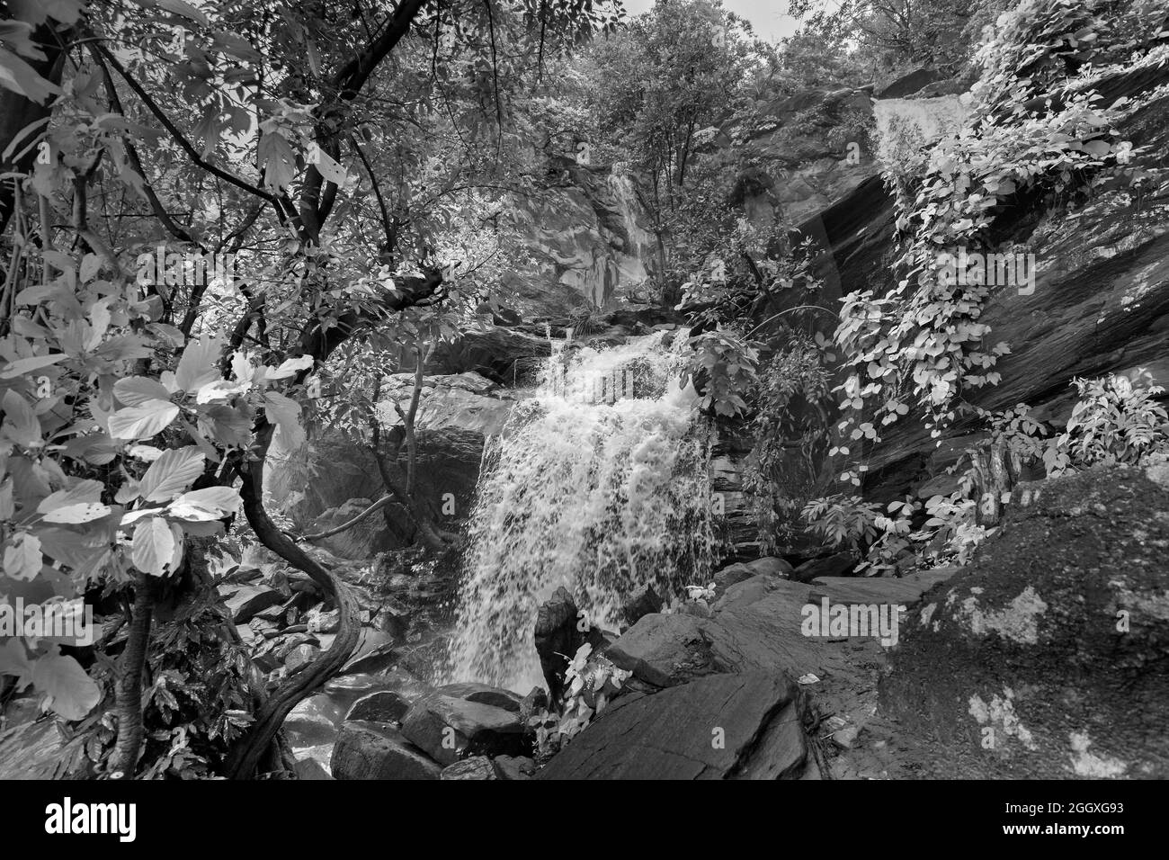 Bella cascata di Bambi con ruscelli pieni di acqua che scorre in discesa tra le pietre , during monsone dovuto la pioggia a Ayodhya pahar, Purulia, India, Foto Stock