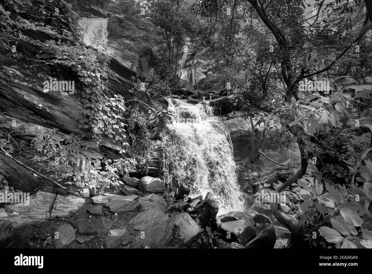 Bella cascata di Bambi con ruscelli pieni di acqua che scorre in discesa tra le pietre , during monsone dovuto la pioggia a Ayodhya pahar, Purulia, India, Foto Stock