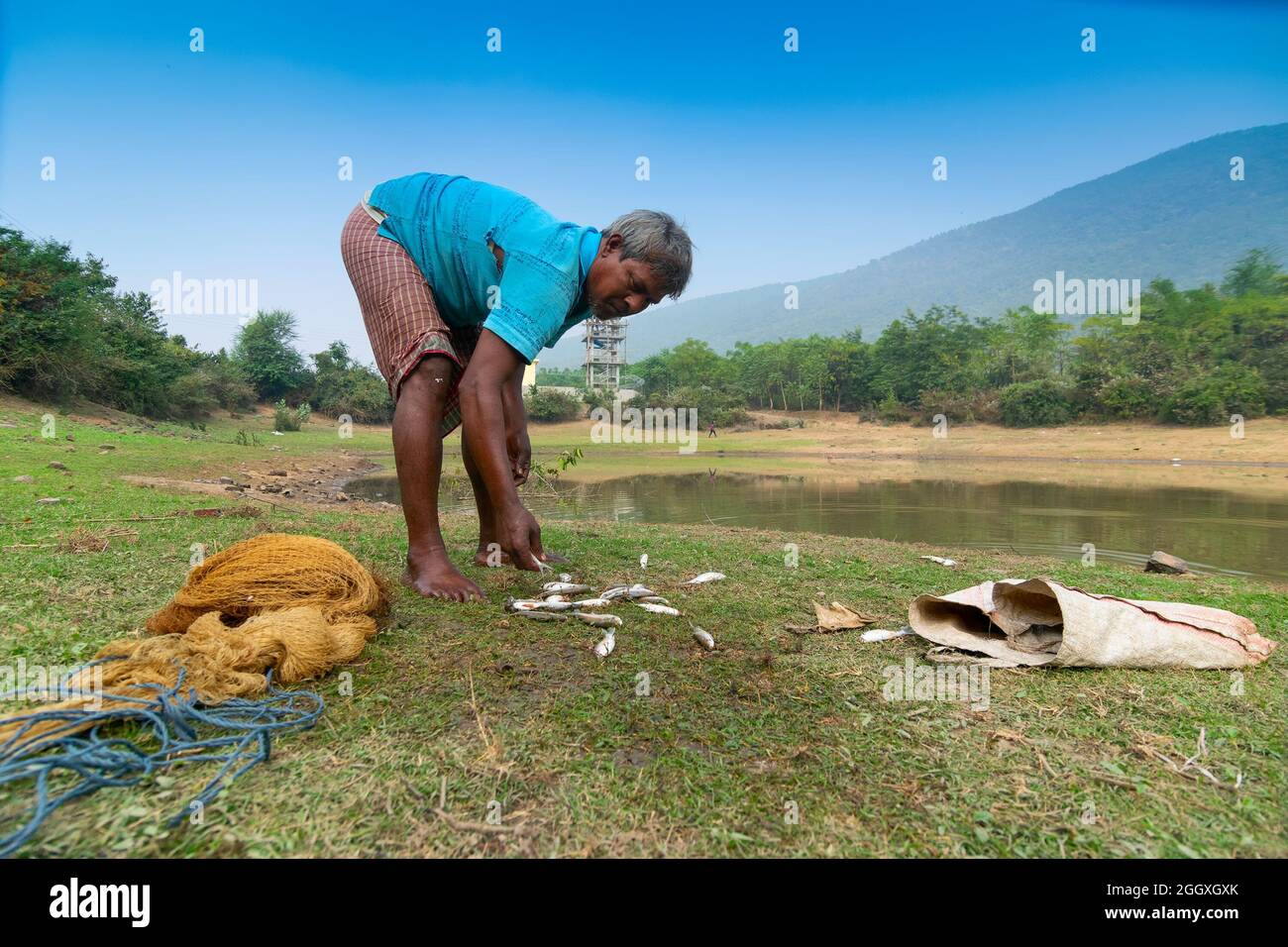 Gar Panchkot, Purulia , Bengala Occidentale, India - 23rd Dicembre, 2015 : Un pescatore solista che conta pesci catched dallo stagno. India che ha molti stagni. Foto Stock