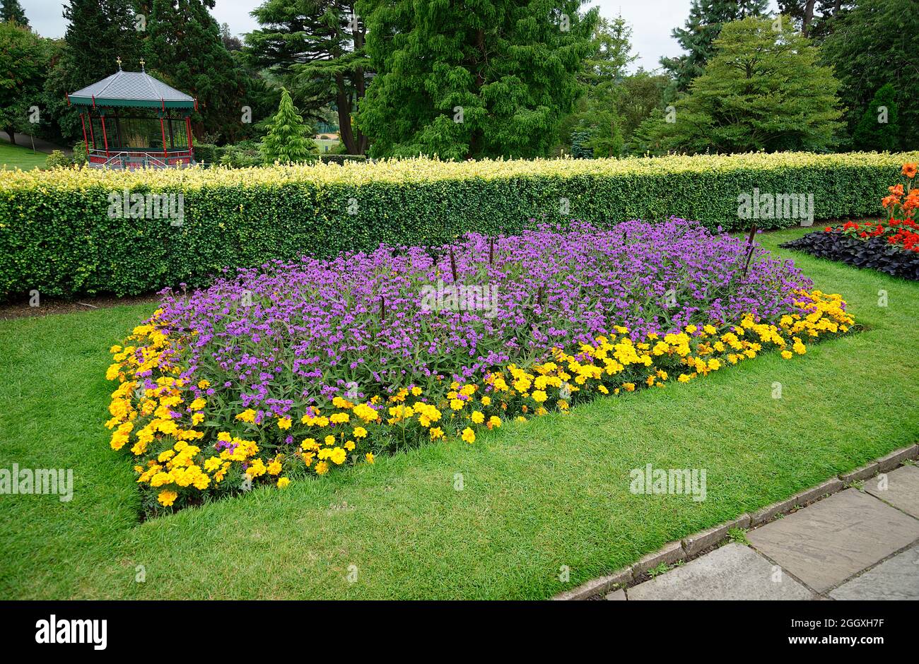 Piante pubbliche di fiori giardino in estate. Composizioni floreali colorate in letti in Inghilterra. Foto Stock