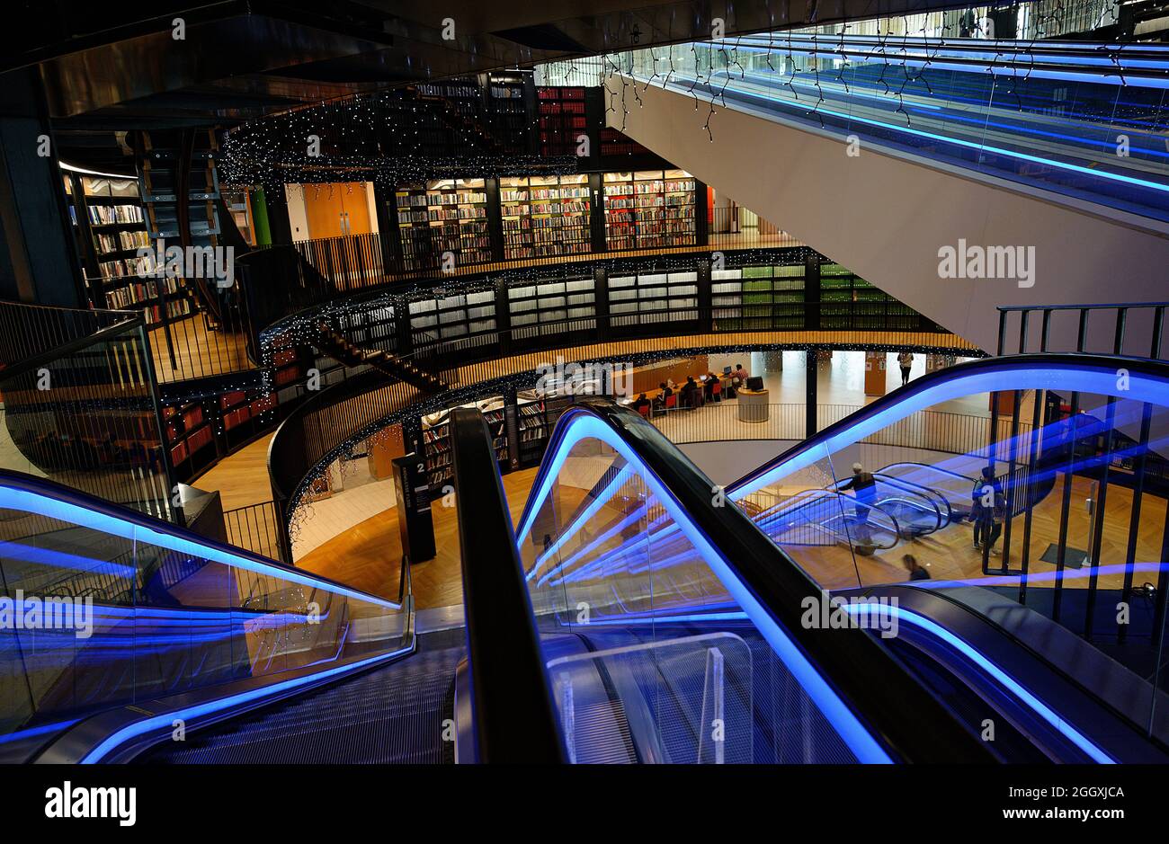 Biblioteca di Birmingham, nel centro della città delle West Midlands. Atrio curvo e scale mobili con luce blu e luci scintillanti. Foto Stock