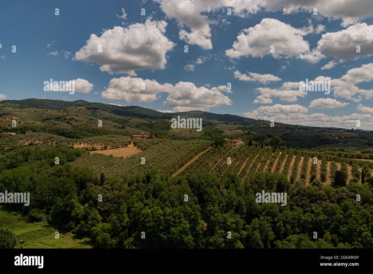 La Toscana è una regione dell'Italia centrale. Il territorio della regione è vario, e comprende gli aspre Appennini, le spiagge dell'isola d'Elba in t Foto Stock