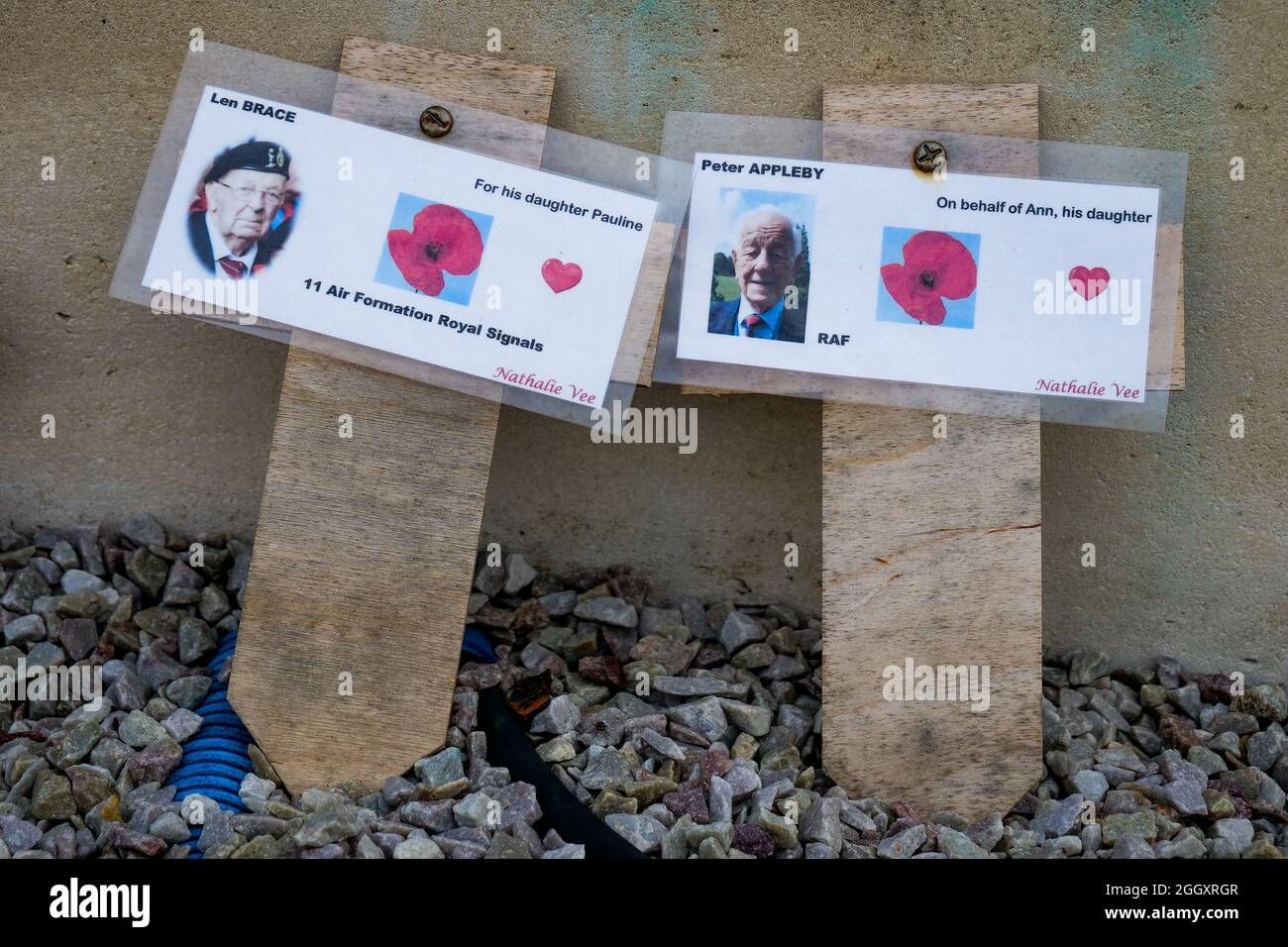 Papaveri su croci di legno, omaggio ai soldati uccisi in guerra, Arromanche, Calvados, Regione Normandia, Francia nordoccidentale Foto Stock