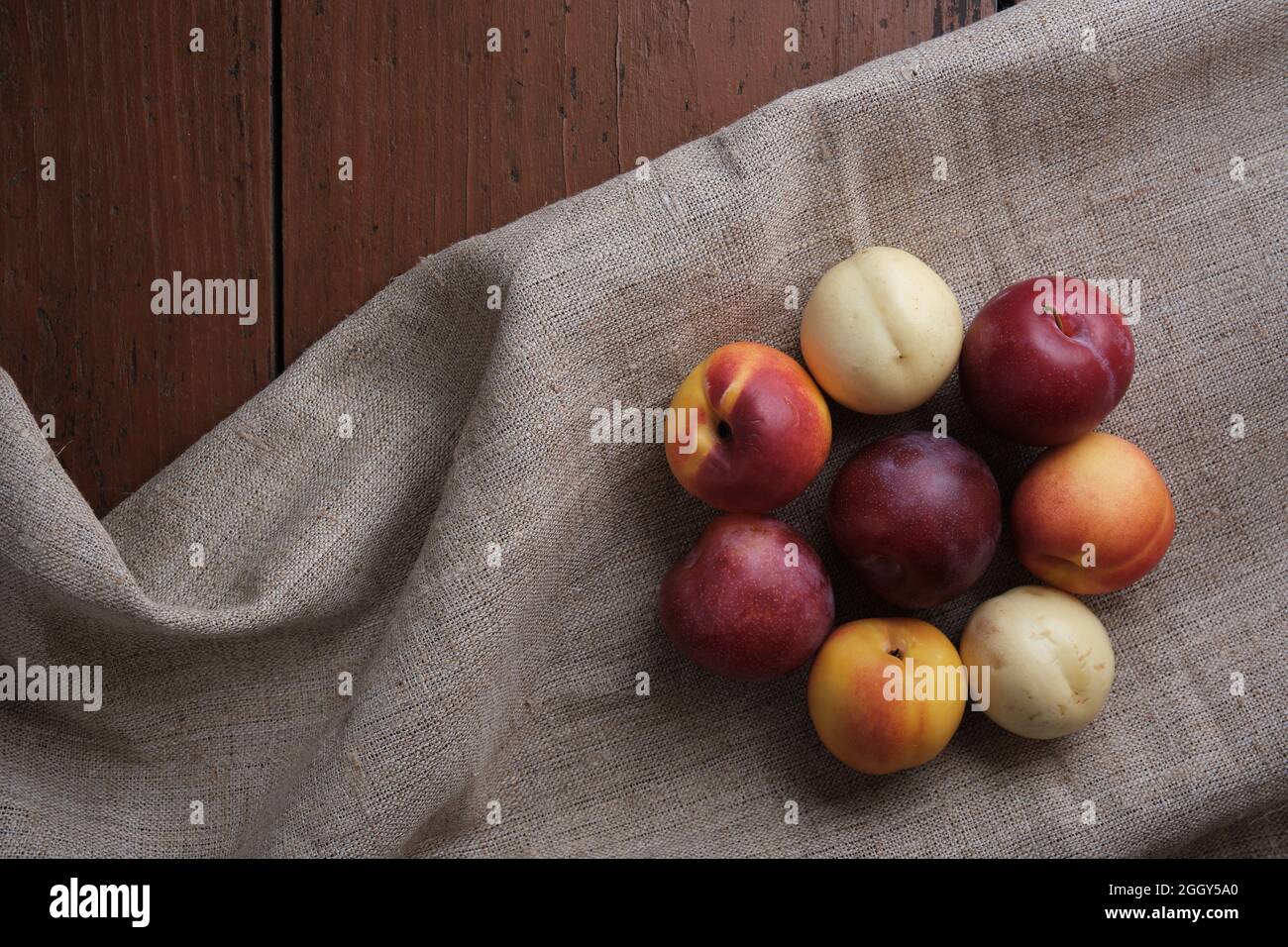 Frutta succosa in una tovaglia di lino su un vecchio tavolo di legno. Prugne, albicocche su sfondo rosso scuro. Vista dall'alto. Foto Stock