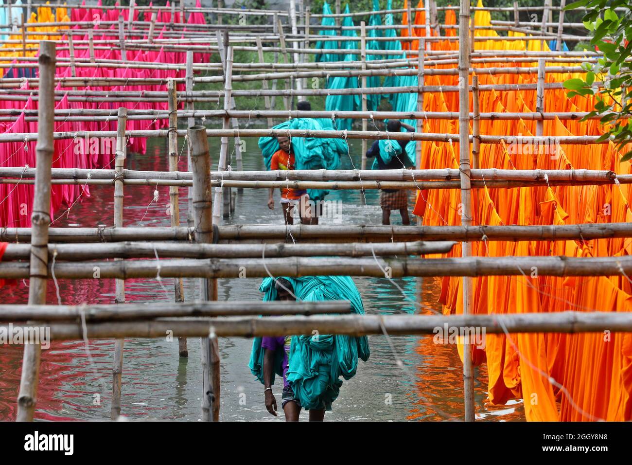 Narayanganj, Bangladesh. 03 Settembre 2021. Un operaio del Bangladesh raccoglie tessuti dipinti dopo averli asciugati sotto il sole in una fabbrica di tintura a Narayanganj, vicino alla capitale di Dhaka. La maggior parte dei lavoratori soffre di malattie della pelle a causa del contatto costante con i prodotti chimici usati per colorare il tessuto, a causa della mancanza di adeguate misure precauzionali. Il 03 settembre 2021 a Narayanganj City, Bangladesh. (Foto di Harun-or-Rashid / Eyepix Group) Credit: Eyepix Group/Alamy Live News Foto Stock