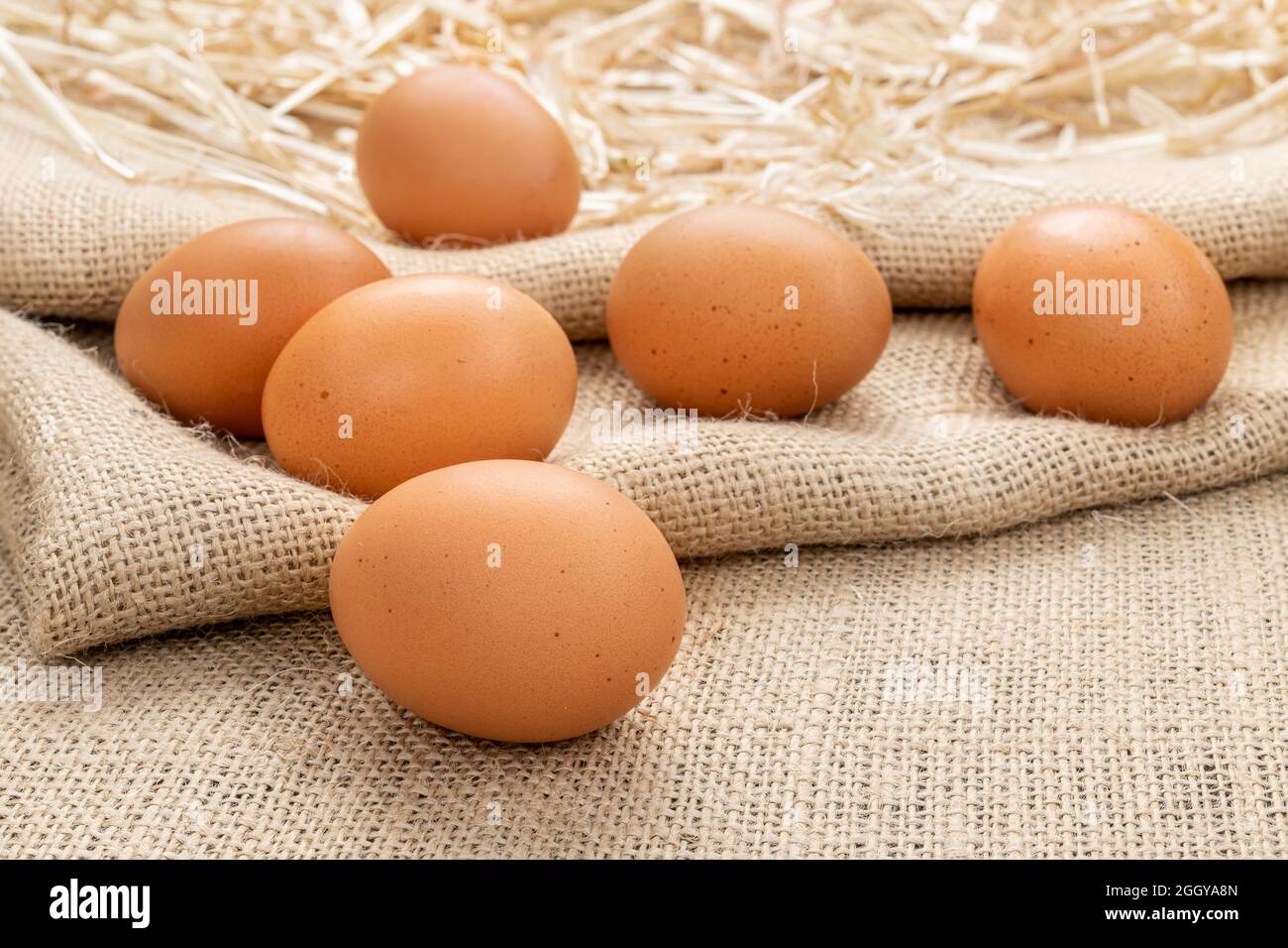 Un assortimento di uova fresche e fresche si riposano sul burlap e sul fieno, mostrando l'essenziale per una colazione calda. Foto Stock