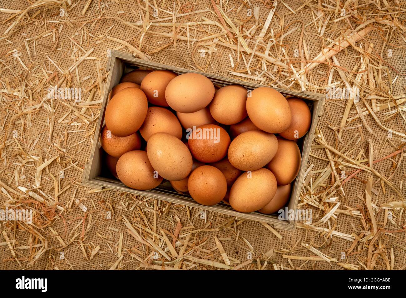 Una piccola cassa di uova di gallina marroni raccolte di fresco poggia su un tavolo di fienile coperto di burlap e fieno. Foto Stock