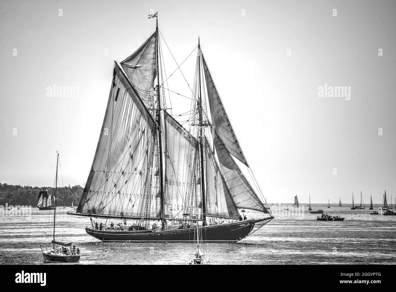 Halifax, Nova Scotia, Canada - 1 agosto 2017: L'iconico Bluenose II durante la parata di vela di Tall Ships nel porto di Halifax. Foto Stock