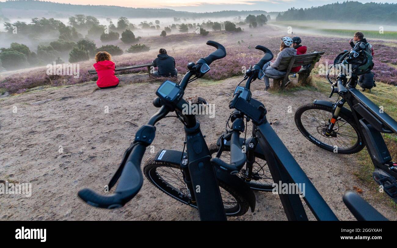 Bispingen, Germania. 31 ago 2021. I partecipanti a un safari in bicicletta elettrica potranno godersi l'alba nella brughiera di Lüneburg. Il fotografo Poliza offre escursioni guidate in bicicletta elettrica attraverso la brughiera di Lüneburg nelle ore mattutine all'alba. Credit: Mars/dpa/Alamy Live News Foto Stock