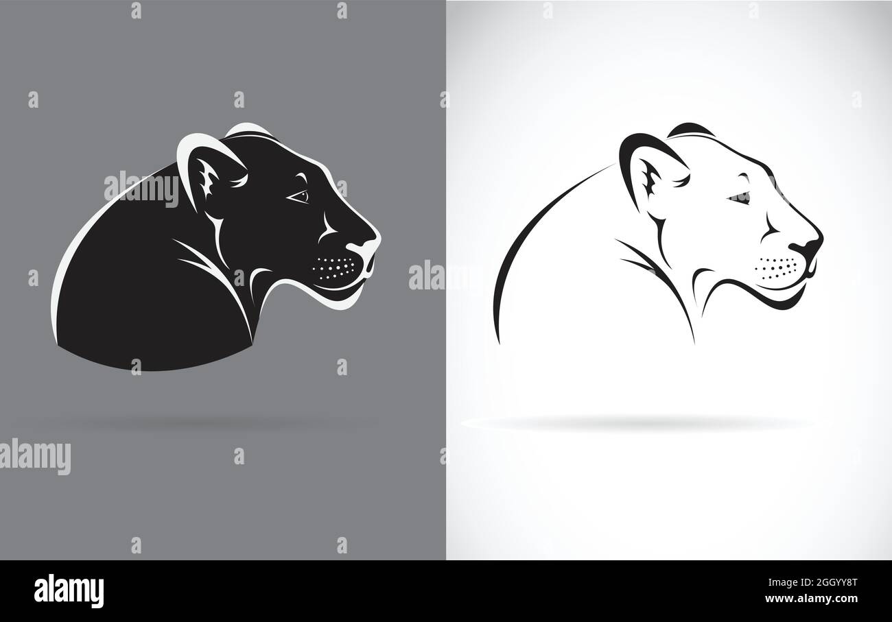 Vettore di pantera nera su sfondo bianco e sfondo grigio. Animali selvatici. Illustrazione vettoriale a livelli facilmente modificabile. Illustrazione Vettoriale