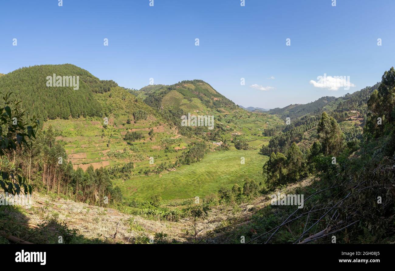 Immagine panoramica del paesaggio rurale, Uganda Foto Stock