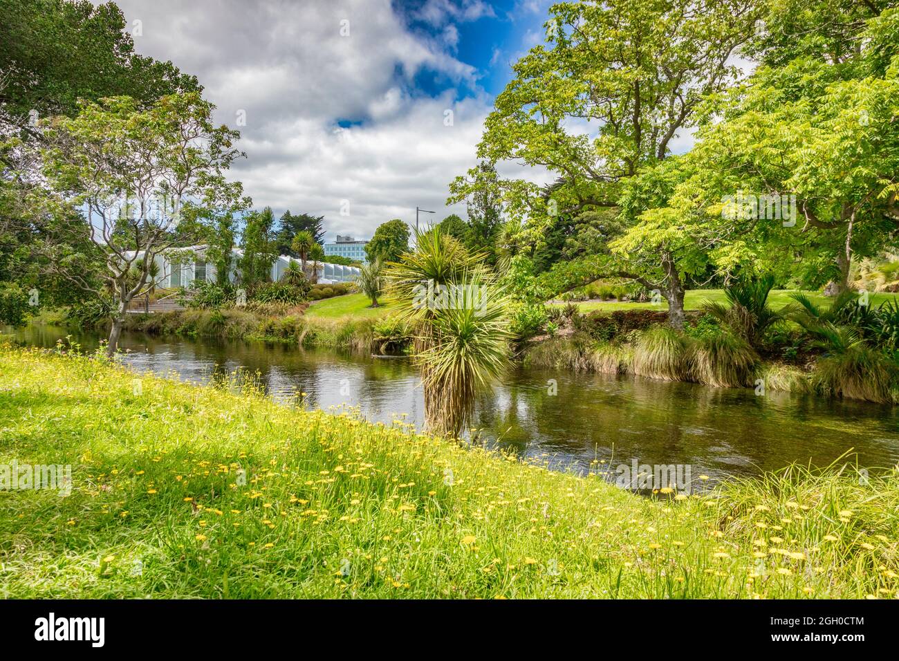 8 gennaio 2019: Christchurch, Nuova Zelanda - il fiume Avon si snoda attraverso i Giardini Botanici di Christchurch e Hagley Park, con fiori selvatici in prima linea Foto Stock